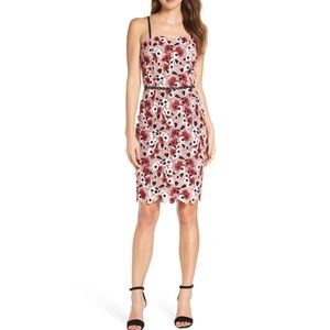 NWOT Brand New Adelyn Rae Harlow Lace Sheath dress xs pink white